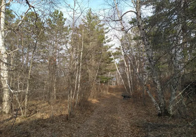 5th image of 50126 County 29, Bemidji, MN 56601 | MLS# 7063238