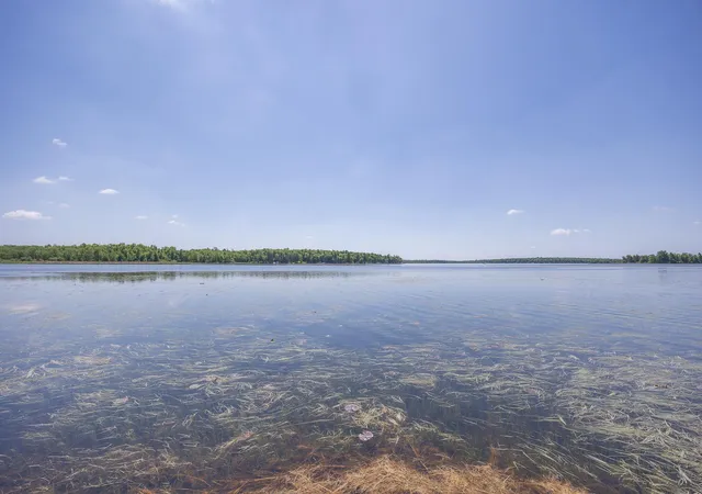 image of 2665 N Boy Lake Trl Ne, Remer, MN 56672 | MLS# 7063281