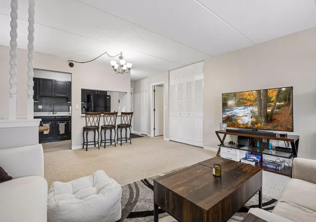 Homes for sale in Hopkins, MN | 10411 Cedar Lake Rd #515, Hopkins, MN 55305 | MLS# 7063525