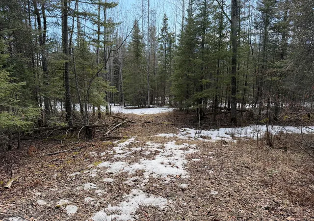 Homes for sale in Kabetogama, MN | 96xx Gappa Rd, Kabetogama, MN 56669 | MLS# 7063643