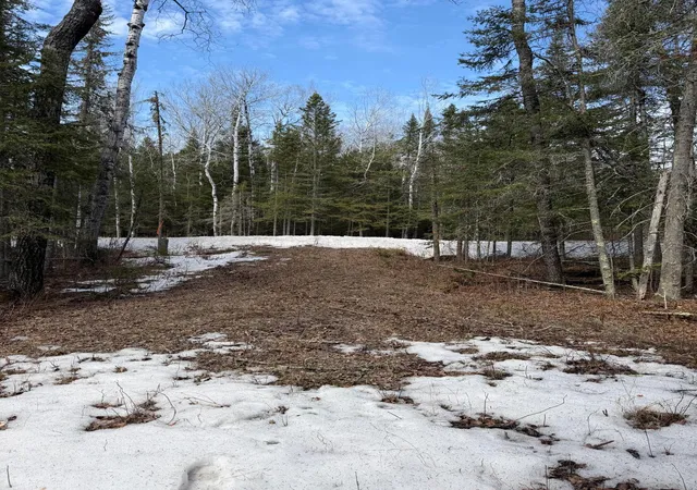 Homes for sale in Kabetogama, MN | 96Xx Gappa Rd, Kabetogama, MN 56669 | MLS# 7063643