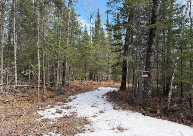 Homes for sale in Kabetogama, MN | 96Xx Gappa Rd, Kabetogama, MN 56669 | MLS# 7063643