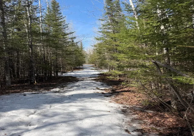 Homes for sale in Kabetogama, MN | 96Xx Gappa Rd, Kabetogama, MN 56669 | MLS# 7063643