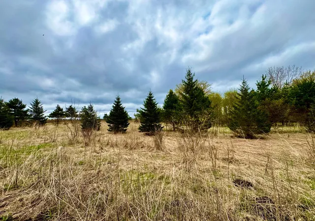 4th image of 10809 Grand Lake Rd, Cold Spring, MN 56320 | MLS# 7064018