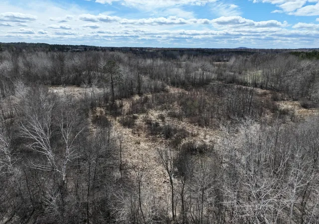 Homes for sale in Osage, MN | Tbd Bass Lake Road, Osage, MN 56570 | MLS# 7064033