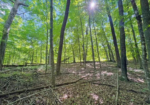Homes for sale in Frederic, WI | Tbd 85th Street, Frederic, WI 54837 | MLS# 7064122