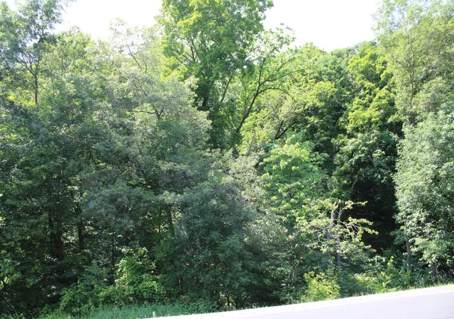 Photo 1 of Land for sale at 000 St Croix Trl, Taylors Falls, MN 55084 | MLS# 7064744 | Listing updated on 2026-09-05
