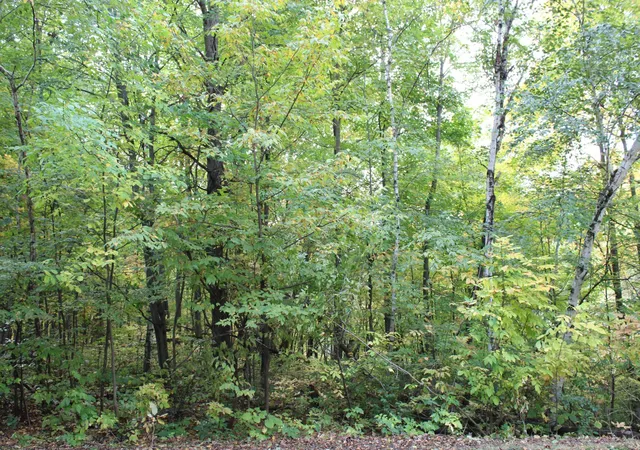 Photo 2 of Land for sale at 000 St Croix Trl, Taylors Falls, MN 55084 | MLS# 7064744 | Listing updated on 2026-09-05