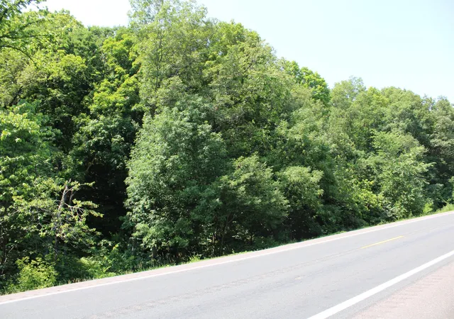 Photo 3 of Land for sale at 000 St Croix Trl, Taylors Falls, MN 55084 | MLS# 7064744 | Listing updated on 2026-09-05