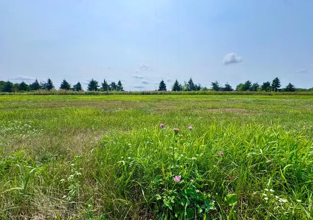 4th image of 10933 Grand Lake Rd, Cold Spring, MN 56320 | MLS# 7064829