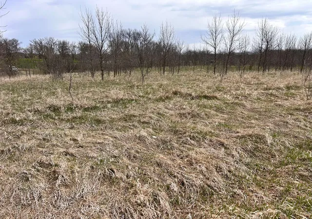 Photo 3 of Land for sale at Lot 20 215th Street, Barrett, MN 56311 | MLS# 7064902 | Listing updated on 2026-05-27