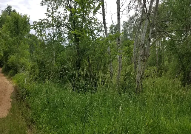 3rd image of 16835 Hwy 65 Ne, Andover, MN 55304 | MLS# 7064915