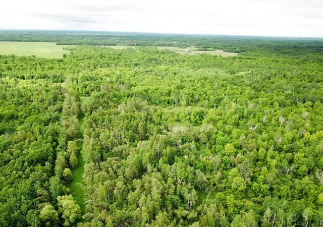 1st image of Tbd Cormorant Rd Ne, Kelliher, MN 56650 | MLS# 7064927