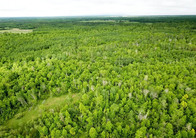 2nd image of Tbd Cormorant Rd Ne, Kelliher, MN 56650 | MLS# 7064927