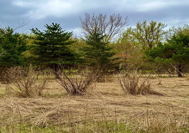 4th image of 10817 Grand Lake Rd, Cold Spring, MN 56320 | MLS# 7065026