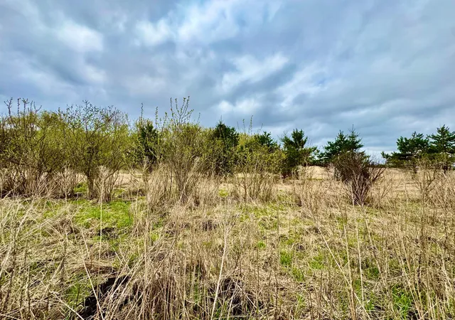 Photo 4 of Land for sale at 10833 Grand Lake Rd, Cold Spring, MN 56320 | MLS# 7065043 | Listing updated on 2026-10-07