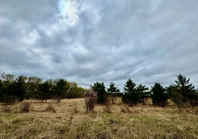 Photo 3 of Land for sale at 10849 Grand Lake Rd, Cold Spring, MN 56320 | MLS# 7065049 | Listing updated on 2026-08-24