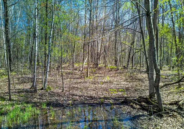 4th image of Parcel 3 Grand Ave, Harris, MN 55032 | MLS# 7065104