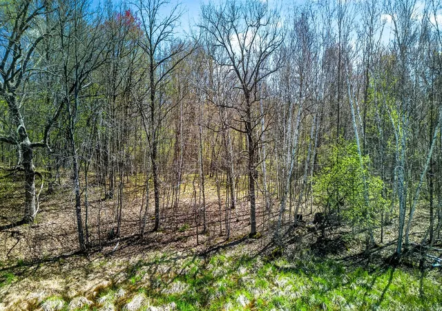 5th image of Parcel 3 Grand Ave, Harris, MN 55032 | MLS# 7065104