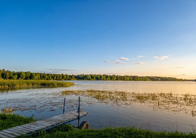 Homes for sale in Nevis, MN | 23742 State 87, Nevis, MN 56467 | MLS# 7065117