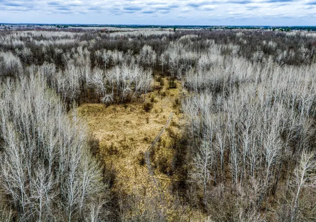 2nd image of 13217 Beaver Rd Ne, Bemidji, MN 56601 | MLS# 7065313