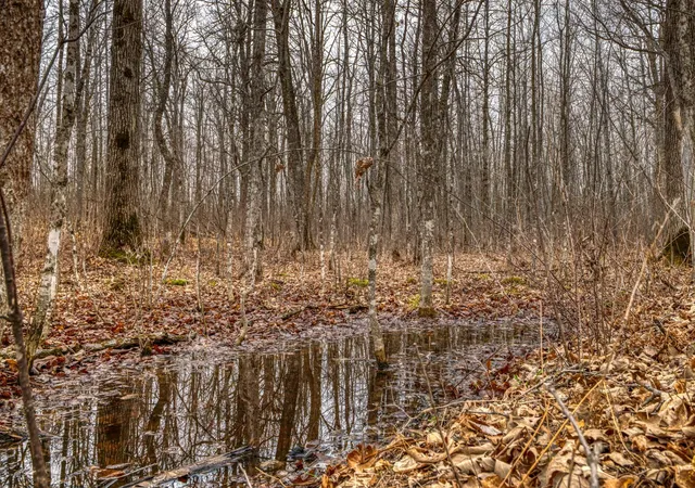 Photo 4 of Land for sale at 13217 Beaver Rd NE, Bemidji, MN 56601 | MLS# 7065313 | Listing updated on 2026-08-06