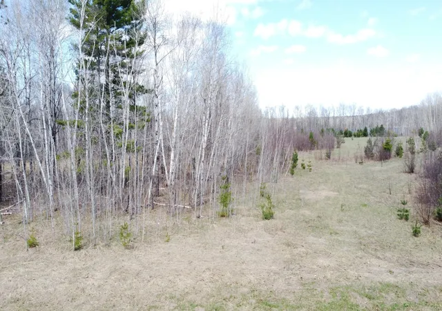 Homes for sale in Emily, MN | Tbd County Road 36, Emily, MN 56447 | MLS# 7065318