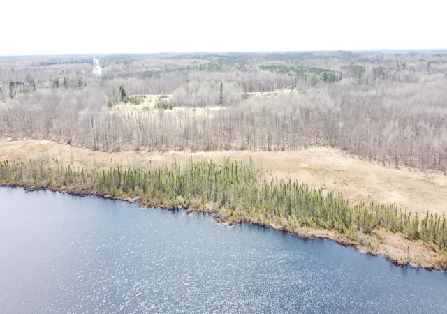 Homes for sale in Emily, MN | Tbd County Road 36, Emily, MN 56447 | MLS# 7065318
