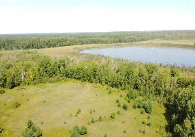 Photo 3 of Land for sale at Tbd County Rd 36, Emily, MN 56447 | MLS# 7065318 | Listing updated on 2026-09-04