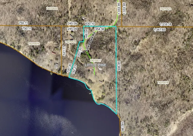 Homes for sale in Emily, MN | 40669 Lows Lake Rd, Emily, MN 56447 | MLS# 7066056