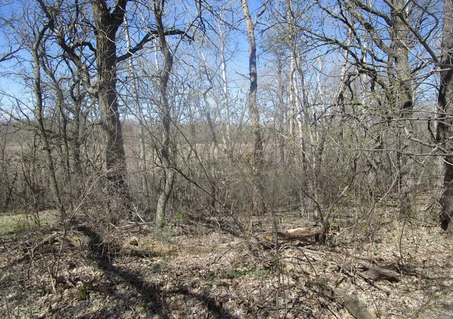 3rd image of Tbd Burgen Ter Se, Alexandria, MN 56308 | MLS# 7066278