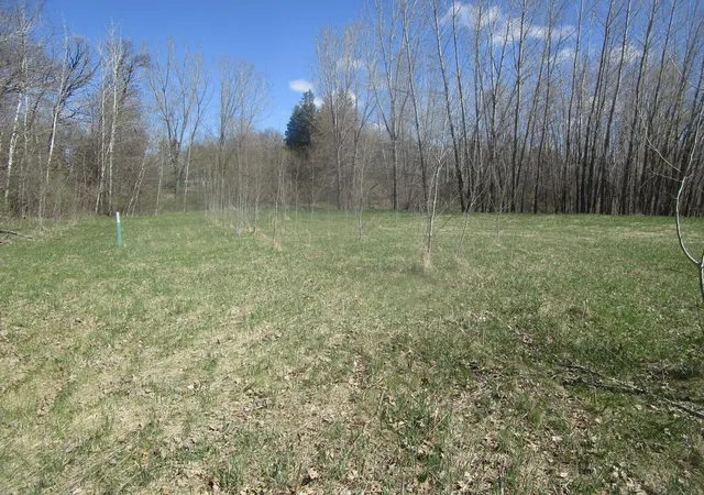 4th image of Tbd Burgen Ter Se, Alexandria, MN 56308 | MLS# 7066278