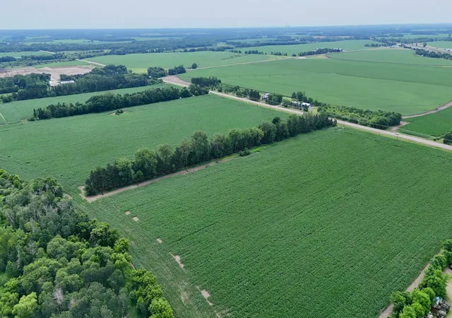 Photo 3 of Land for sale at Xxx County Rd 3, Royalton, MN 56373 | MLS# 7066730 | Listing updated on 2026-07-17