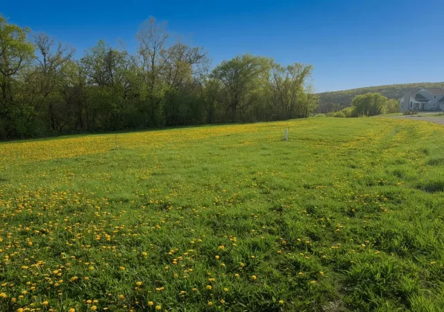 Photo 3 of Land for sale at Tbd Vista Ridge Ln Nw, Byron, MN 55920 | MLS# 7066758 | Listing updated on 2026-08-10