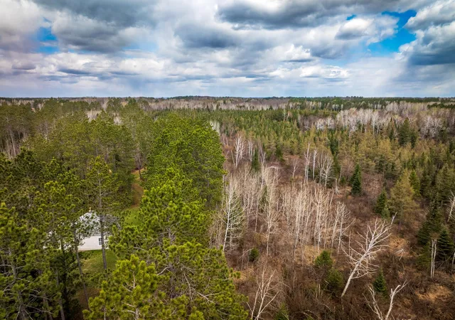 Photo 4 of Single family home for sale at 93001 Delong Rd, Wrenshall, MN 55749 | MLS# 7066771 | Listing updated on 2026-08-17