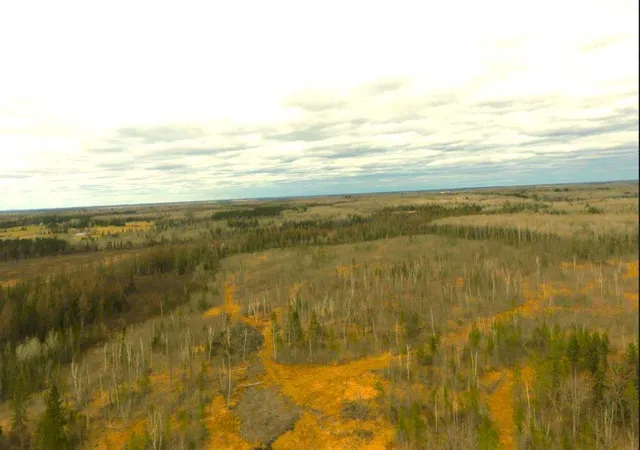 Photo 1 of Land for sale at Tbd40 Township Rd 5743, Alborn, MN 55702 | MLS# 7067070 | Listing updated on 2026-05-04