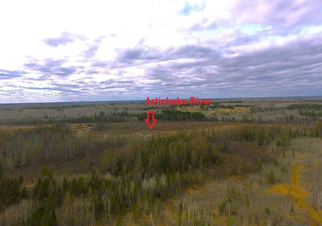 Photo 3 of Land for sale at Tbd40 Township Rd 5743, Alborn, MN 55702 | MLS# 7067070 | Listing updated on 2026-05-04