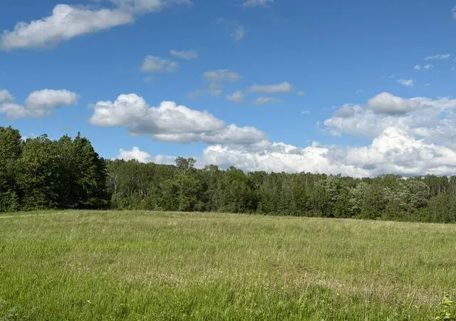 2nd image of Tbd County 63, Boy River, MN 56672 | MLS# 7067248