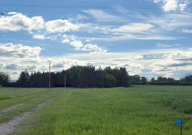 Photo 3 of Land for sale at Tbd County 63, Boy River, MN 56672 | MLS# 7067248 | Listing updated on 2026-09-05