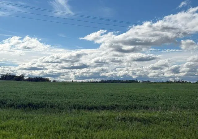 Photo 3 of Land for sale at Tbd County 63, Boy River, MN 56672 | MLS# 7067248 | Listing updated on 2026-09-05