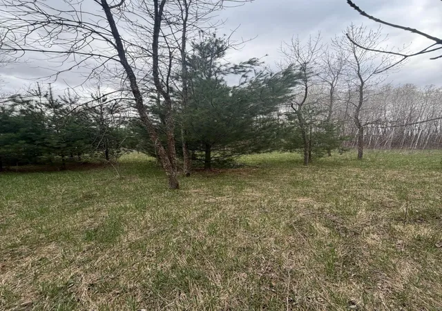 Photo 3 of Land for sale at Tbd Ottawa, Browerville, MN 56438 | MLS# 7067508 | Listing updated on 2026-05-27