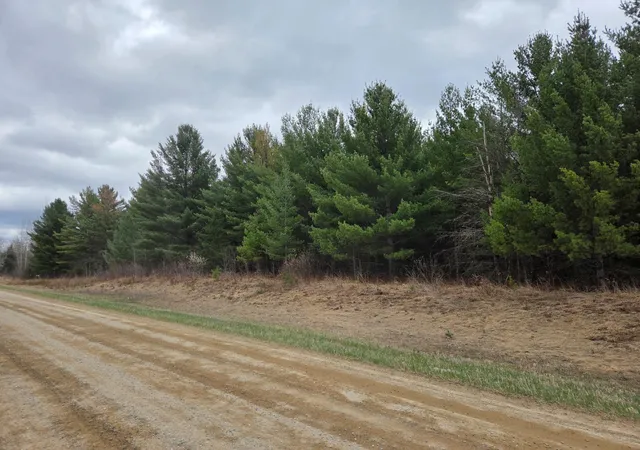 Homes for sale in Laporte, MN | Tbd 450th   Parcel C St, Laporte, MN 56461 | MLS# 7067611