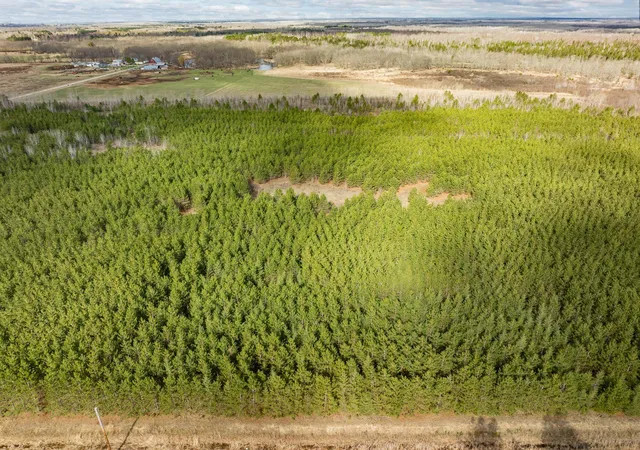 Photo 4 of Land for sale at Lot 1 Scenic Hwy 7, Bovey, MN 55709 | MLS# 7067795 | Listing updated on 2026-09-18