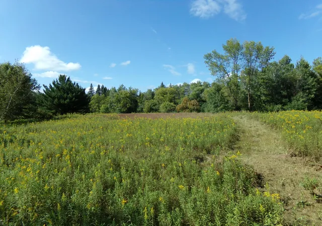 Homes for sale in Harris, MN | 67xx Old Sawmill Rd, Harris, MN 55032 | MLS# 7068023