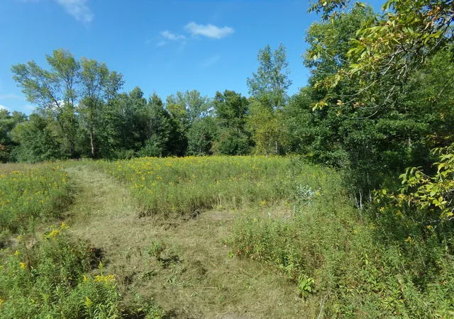 Homes for sale in Harris, MN | 67xx Old Sawmill Rd, Harris, MN 55032 | MLS# 7068023