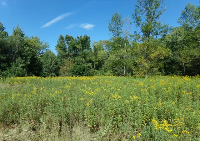 Homes for sale in Harris, MN | 67Xx Old Sawmill Rd, Harris, MN 55032 | MLS# 7068023