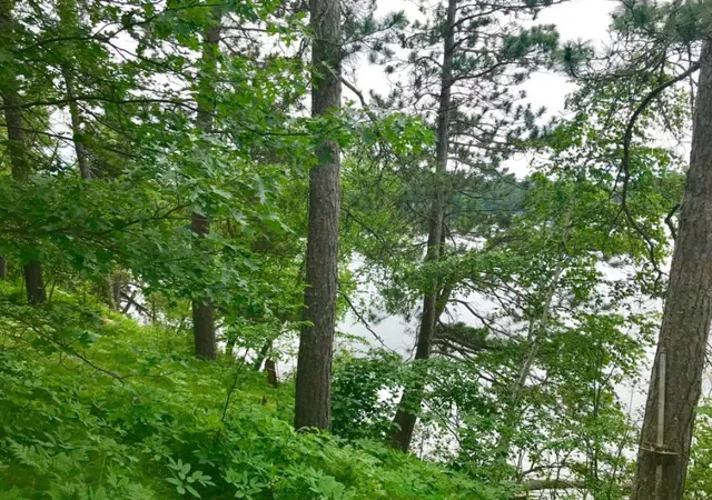 Photo 3 of Sale Pending at 38284 Ox Lake Landing, Crosslake, MN 56442 | MLS# 7068039 | Listing updated on 2026-08-31