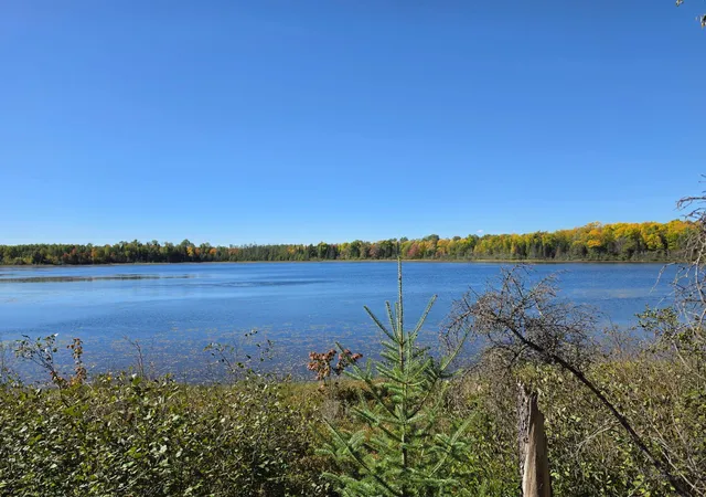 Photo 3 of Single family home for sale at 2217 Michaels Beach Rd, Forbes, MN 55738 | MLS# 7068104 | Listing updated on 2026-10-05