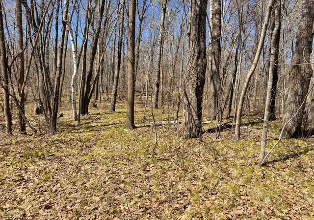5th image of 45527/45609 Fox Rd, Hinckley, MN 55037 | MLS# 7068212