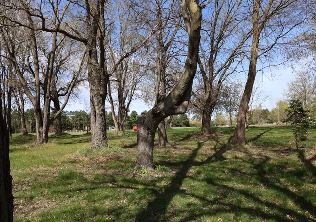 Photo 4 of Land for sale at 1824x Greenbrook Dr NE, East Bethel, MN 55092 | MLS# 7068402 | Listing updated on 2026-07-22
